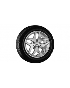 5-twin-spoke wheel, Alcyone, 40.6 cm (16-inch), SLK-SLC, 225/50 R16/, sterling silver, B66471546 buy in USA