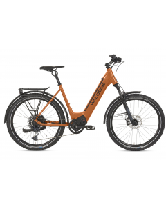 Tilia Trekking E-Bike L, City SUV fox orange-brown, WB-10012023.001.3 buy in USA