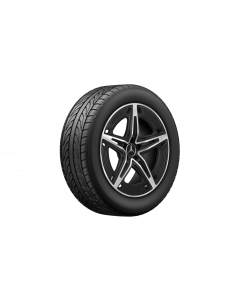 AMG 5-spoke wheel, 48.3 cm (19-inch), high-sheen, A-Class, 245/35 R19/, matt black, A17740144007X36 buy in USA